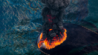 Strikingly beautiful pictures show the horrors of the BP oil spill
